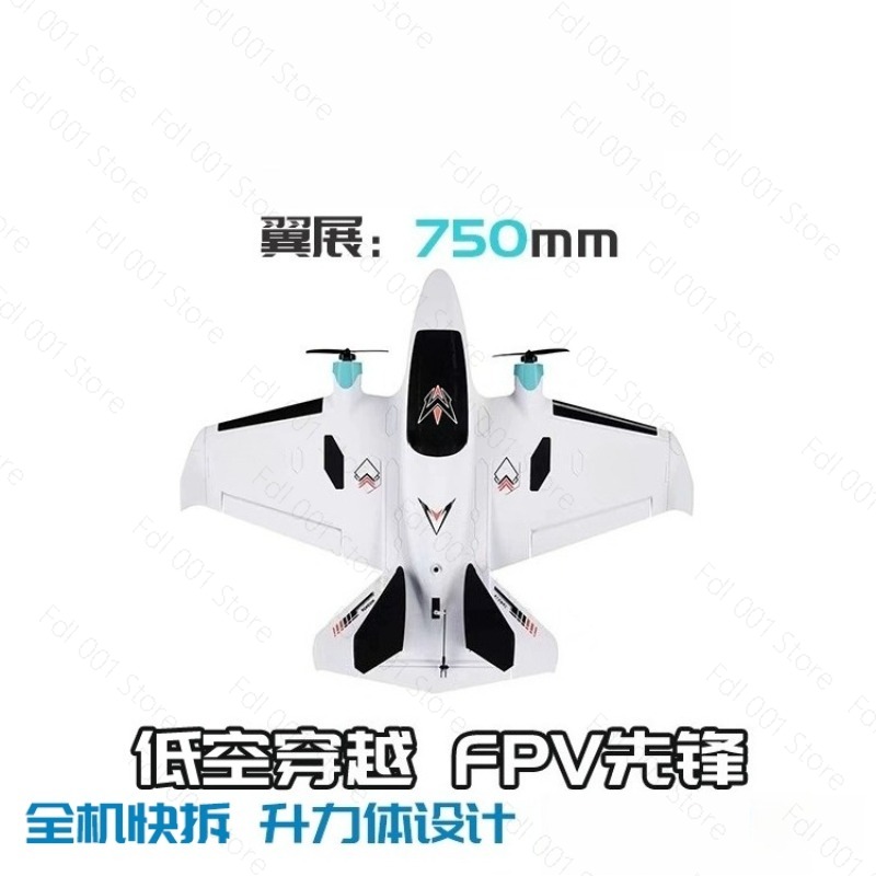 Avión RC de Ala Fija con Doble - Fpv Drone Motor reseña y precio